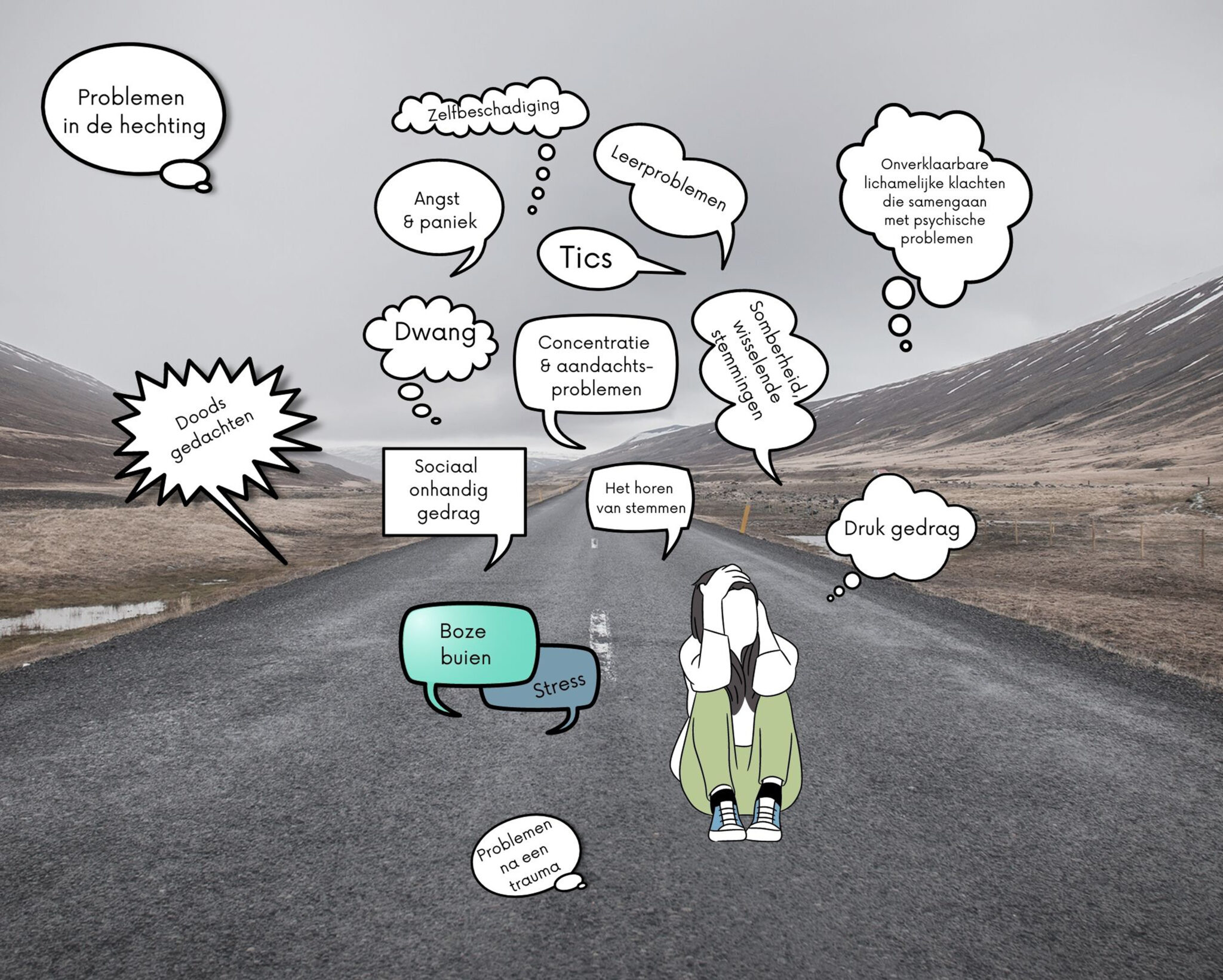 psychiatrische problemen