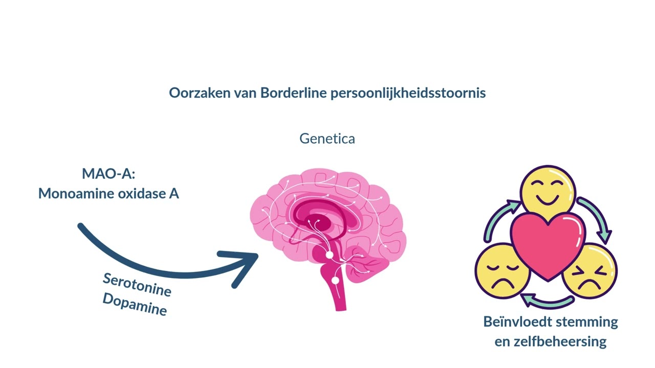 emotioneel instabiel oorzaken